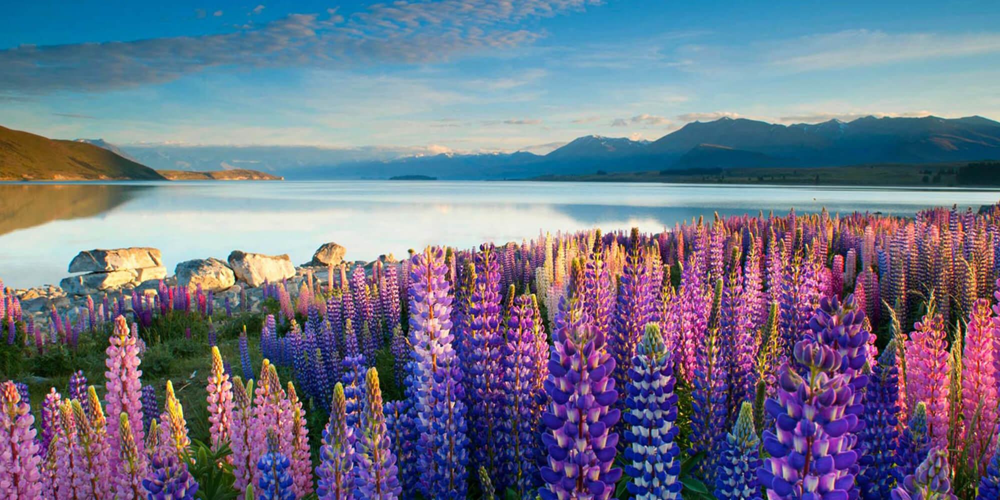 Top 40 Unforgettable Places to visit in New Zealand