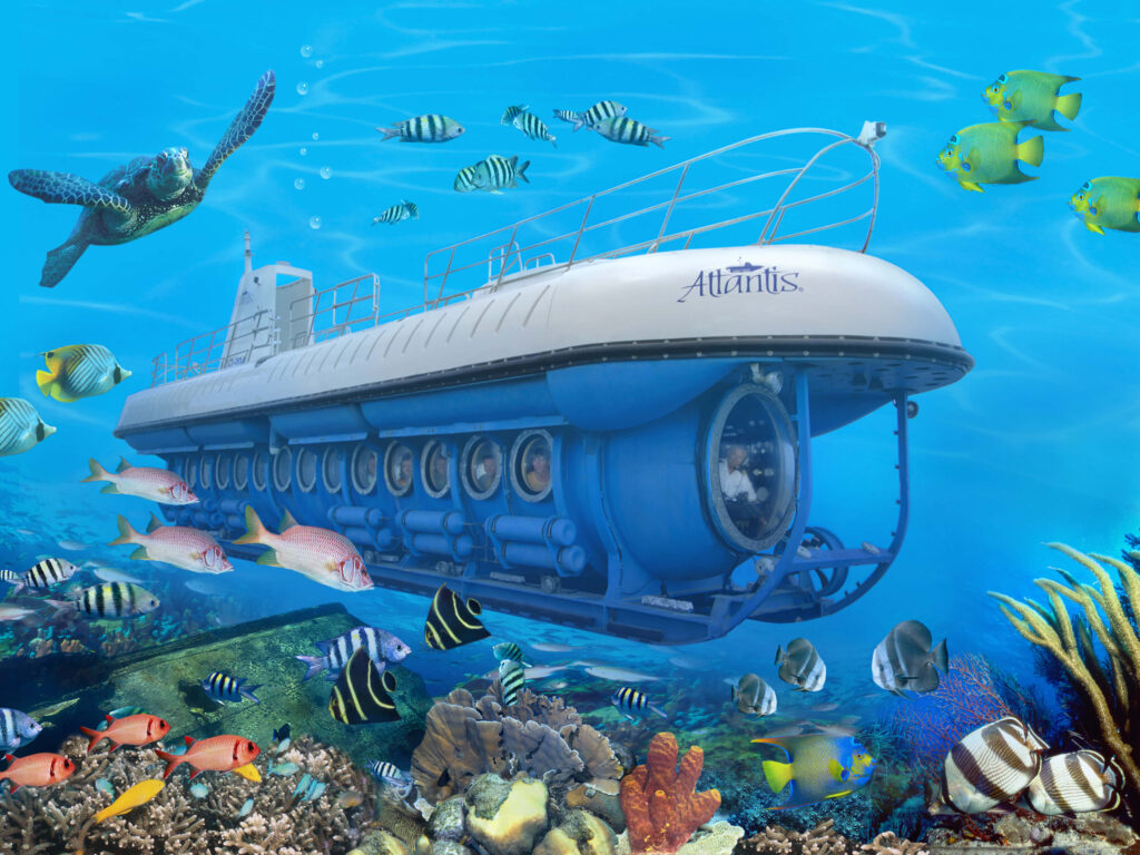 Underwater Whale Submarine
