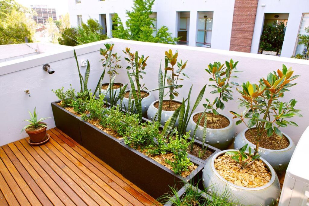 Plants in balcony