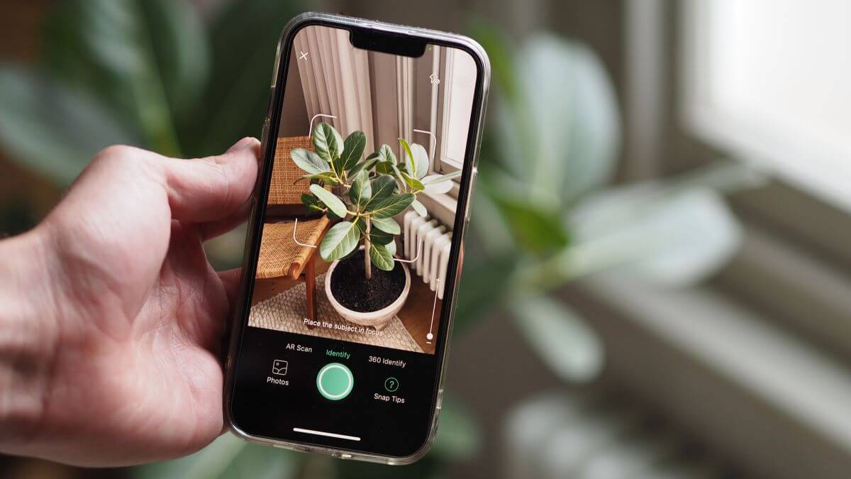 Best plant care apps to keep your plants healthy