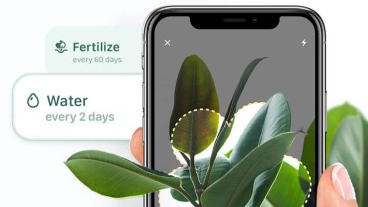 Blossom plant care app