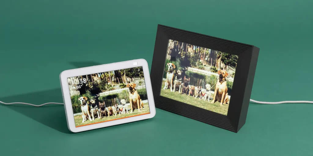 Aura frames buddy 10.1 inch hd digital wifi pet photo frame