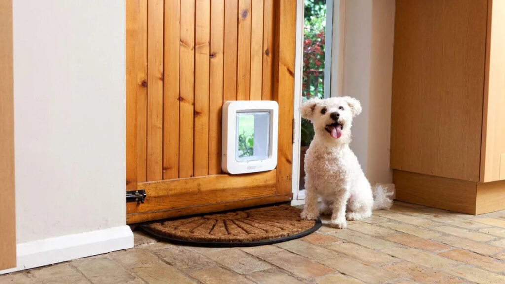 High tech pet products px 1 power pet fully automatic pet door