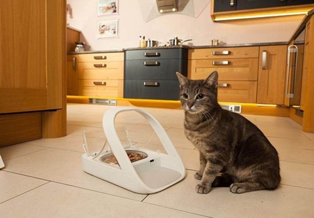 Surefeed microchip dog & cat feeder